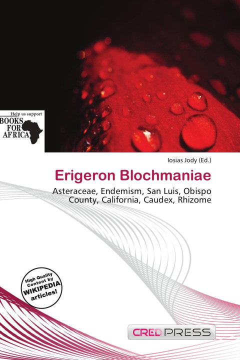 Buch Erigeron Blochmaniae 