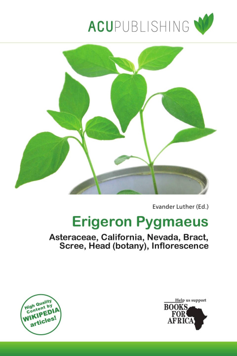 Buch Erigeron Pygmaeus 
