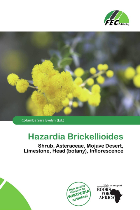 Buch Hazardia Brickellioides 