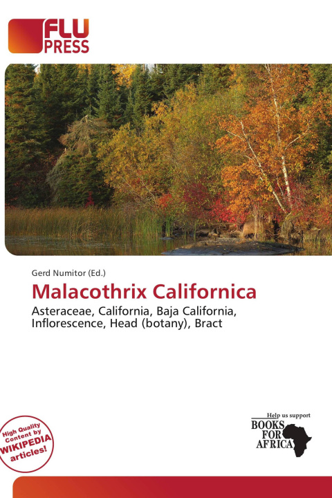 Buch Malacothrix Californica 