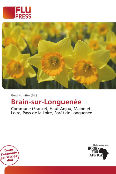 Kniha Brain-sur-Longuenée 