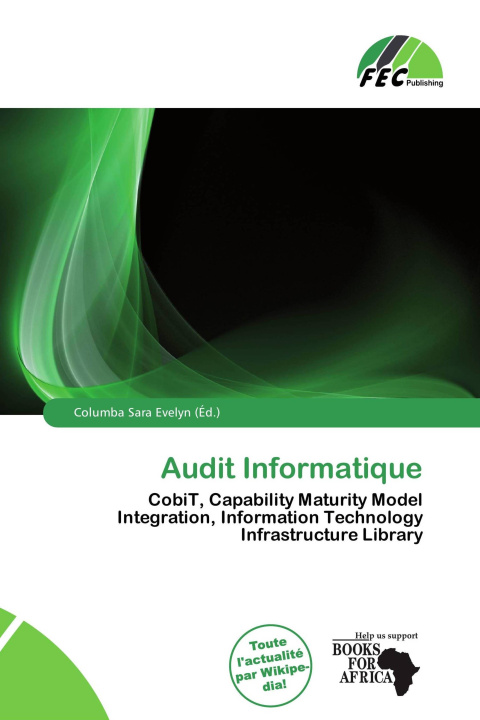 Buch Audit Informatique 