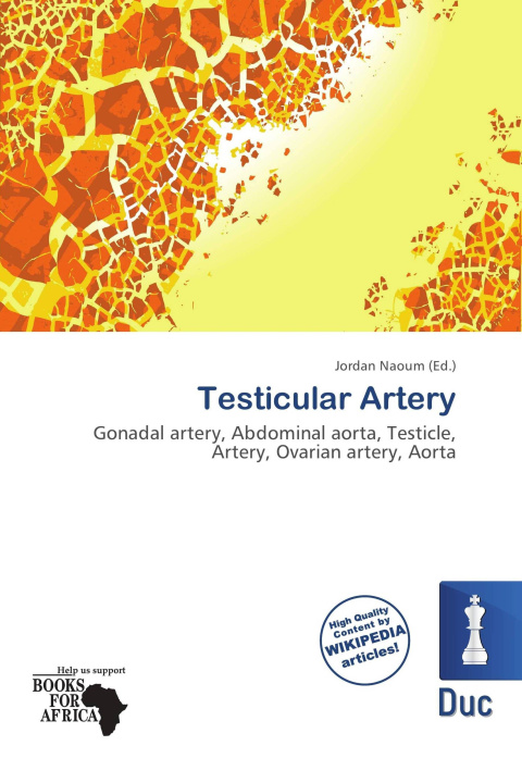 Carte Testicular Artery 