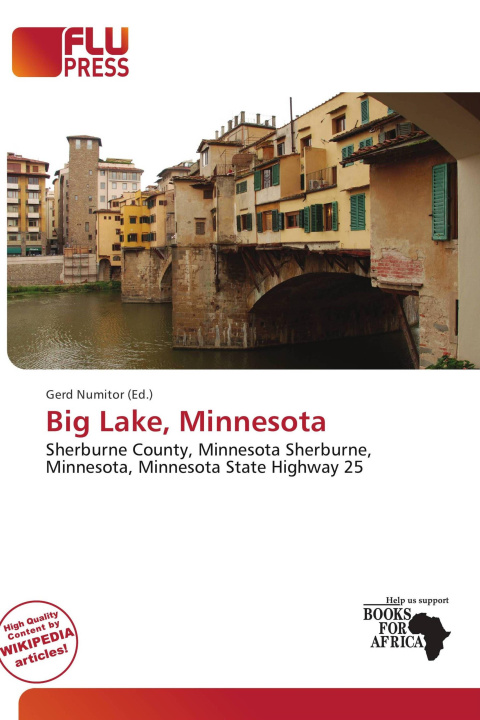 Carte Big Lake, Minnesota 