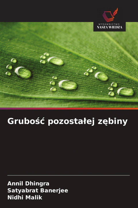 Книга Grubo¿¿ pozosta¿ej z¿biny Satyabrat Banerjee