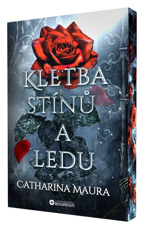 Könyv Kletba stínů a ledu 
