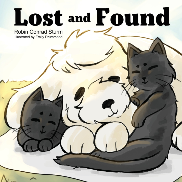Boek Lost and Found Robin Conrad Sturm