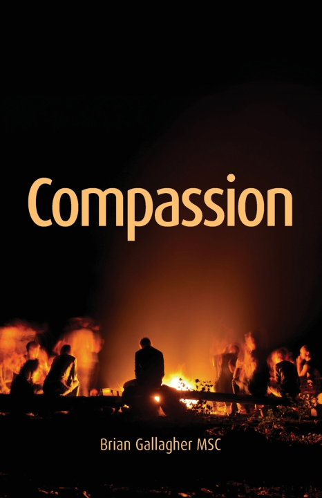 Buch Compassion Brian Gallagher