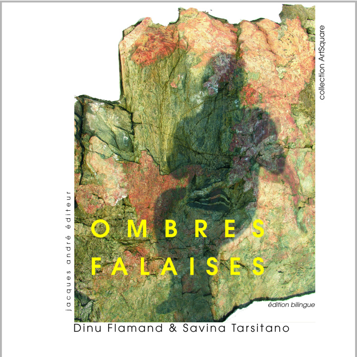 Könyv Ombres Falaises Flamand