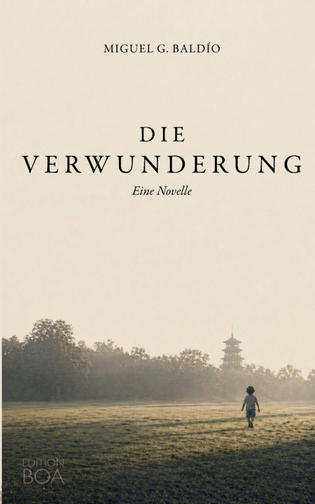 Könyv Die Verwunderung Miguel G. Baldío