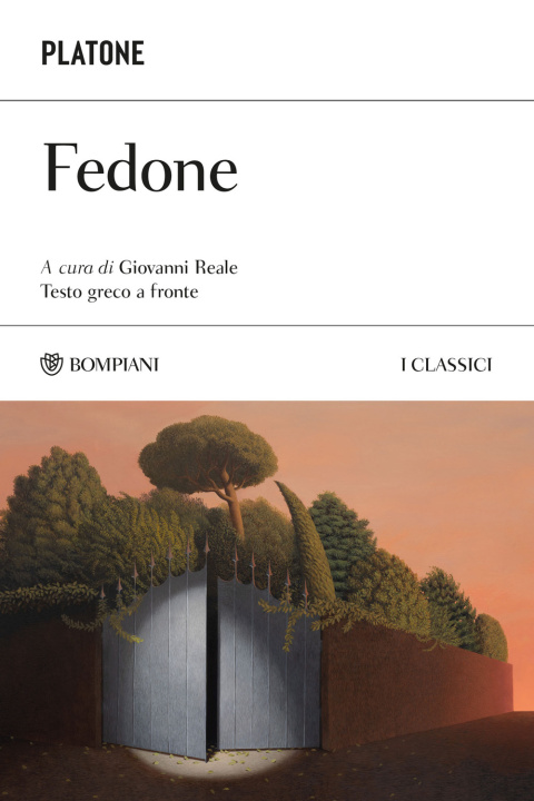 Buch Fedone. Testo greco a fronte Giovanni Reale