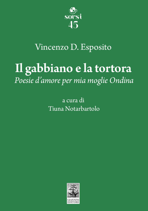 Könyv gabbiano e la tortora Vincenzo D. Esposito
