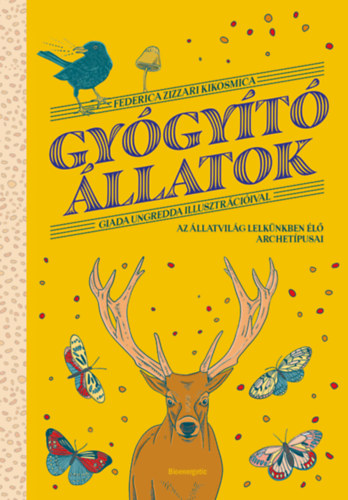 Könyv Gyógyító állatok Federica Zizzari Kikosmica
