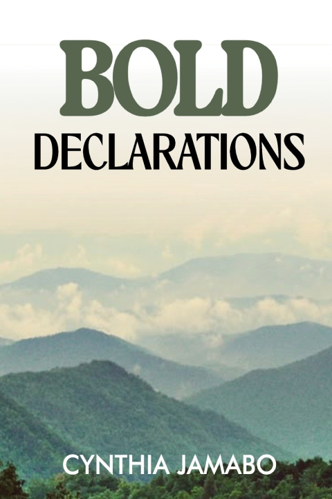 Könyv Bold Declarations Cynthia Jamabo