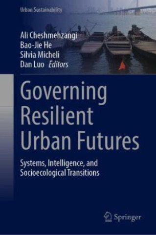 Kniha Governing Resilient Urban Futures Ali Cheshmehzangi