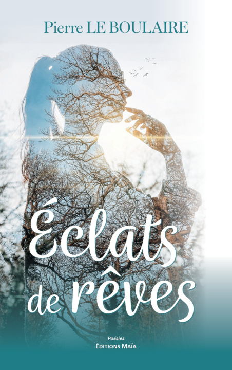 Könyv Éclats de rêves Pierre Le Boulaire
