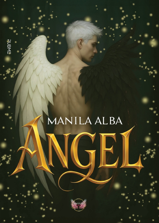Könyv ANGEL Aurora Ballarin