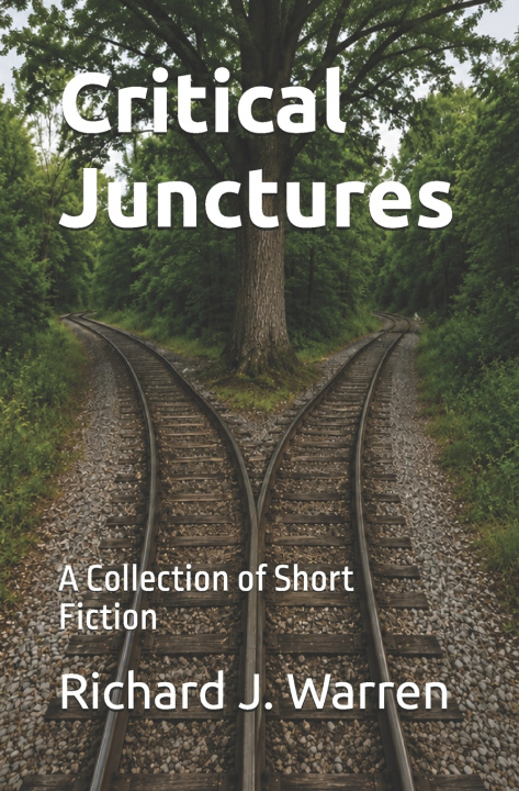 Könyv Critical Junctures Richard J. Warren