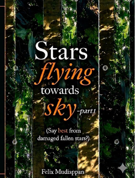 Könyv Stars flying towards sky-part1 Felix Mudiappan