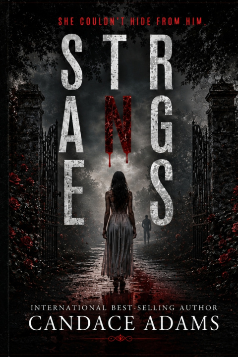 Könyv Strangers Candace Adams