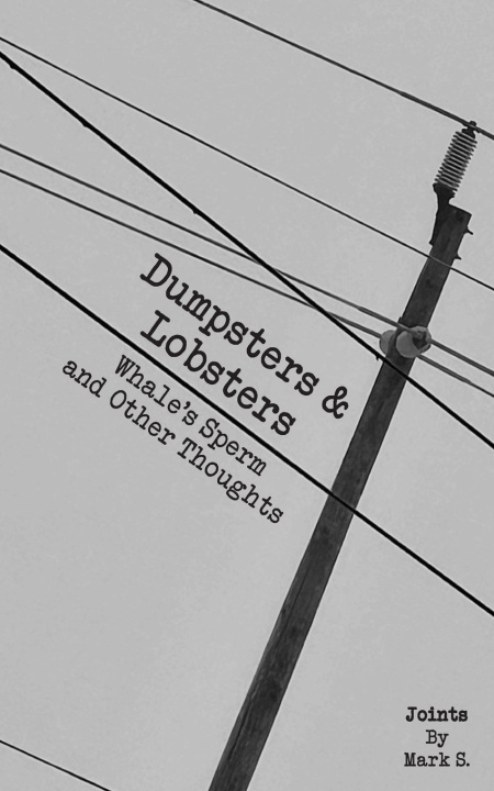 Könyv Dumpsters & Lobsters Mark S.