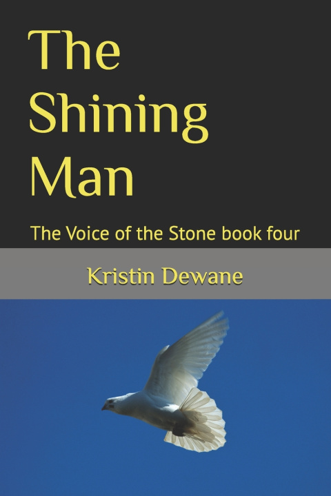 Könyv The Shining Man Kristin Dewane
