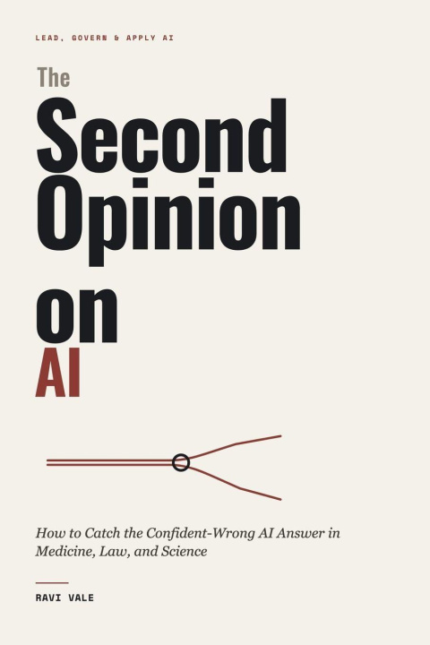 Könyv The Second Opinion on AI 