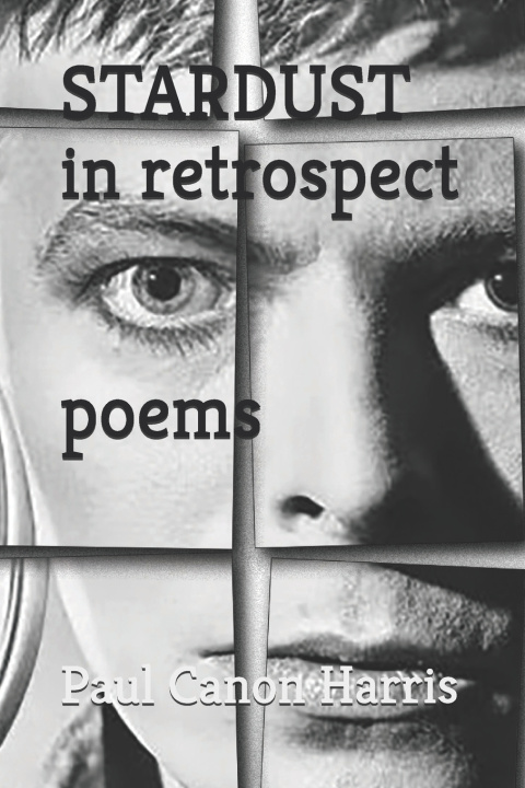 Könyv STARDUST in retrospect Paul Canon Harris