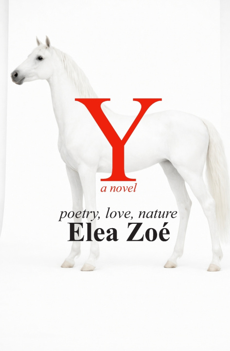 Könyv Y, a novel Elea Zoé