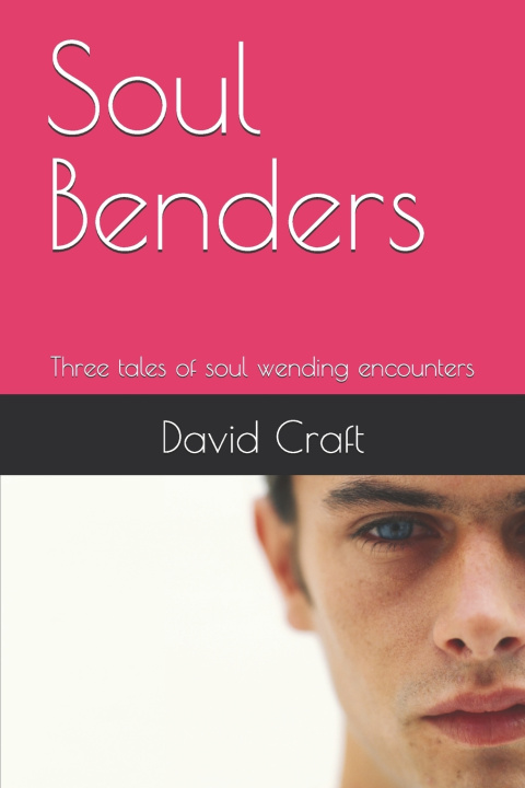 Könyv Soul Benders David R Craft