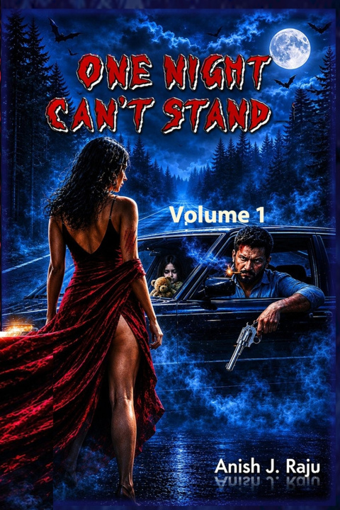 Könyv ONE NIGHT CAN'T STAND ANISH J. RAJU