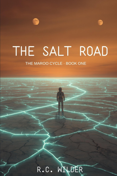 Könyv The Salt Road R.C. Wilder