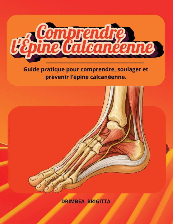 Könyv Comprendre l'Épine Calcanéenne Brigitta Drimbea