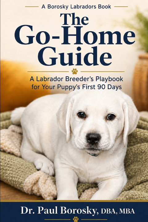 Könyv The Go-Home Guide DBA MBA Paul Borosky