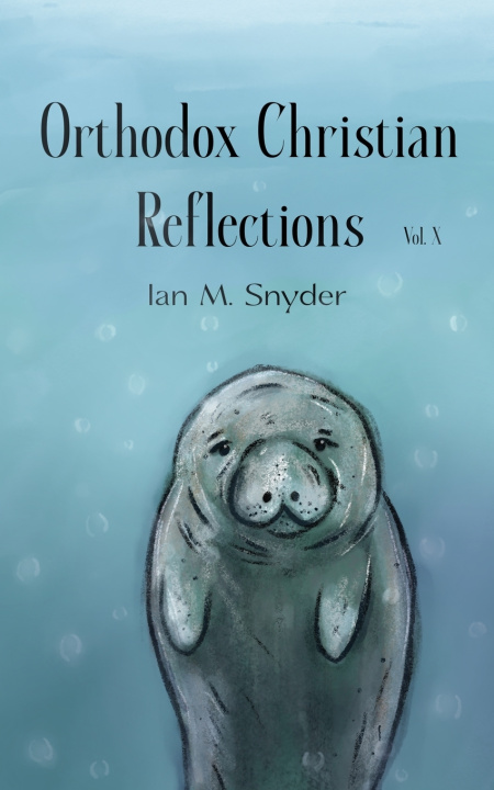 Könyv Orthodox Christian Reflections Vol X Ian M. Snyder