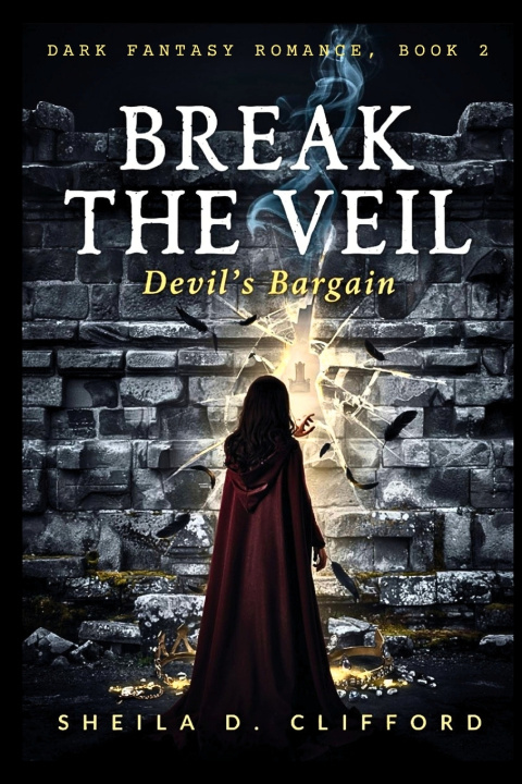 Könyv Break the Veil Sheila D. Clifford
