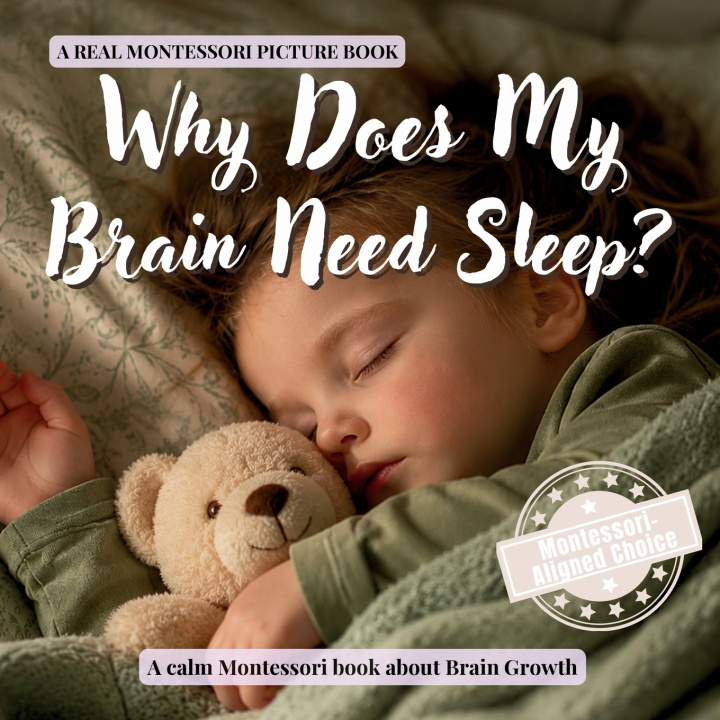 Könyv Why Does My Brain Need Sleep? BoonHouse Publishing