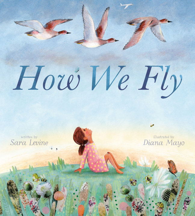Kniha How We Fly Diana Mayo