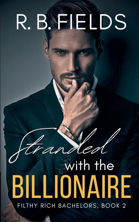 Könyv Stranded with the Billionaire R. B. Fields