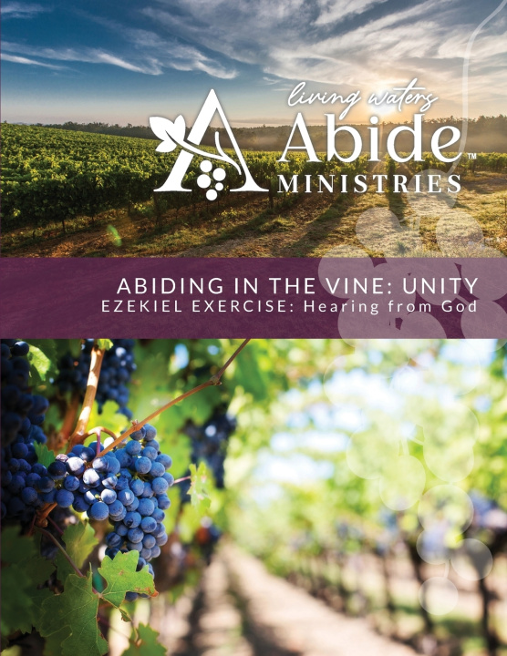 Βιβλίο Abiding in the Vine - Ezekiel Exercise Richard T Case