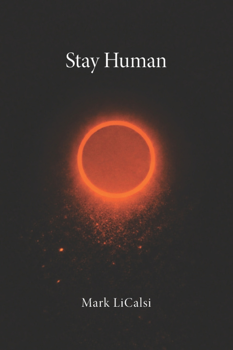 Kniha Stay Human Mark LiCalsi