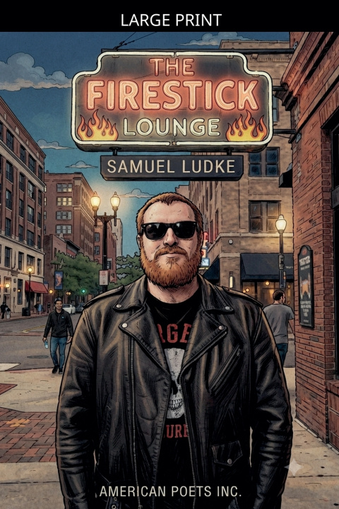 Книга The Firestick Lounge Samuel Ludke
