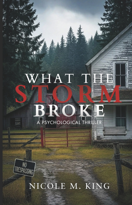Kniha What The Storm Broke Nicole M. King