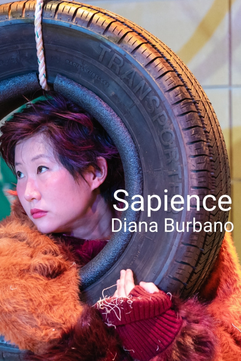 Kniha Sapience Diana Burbano