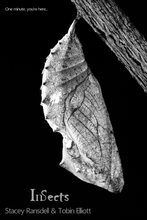 Boek InSects SE Ransdell