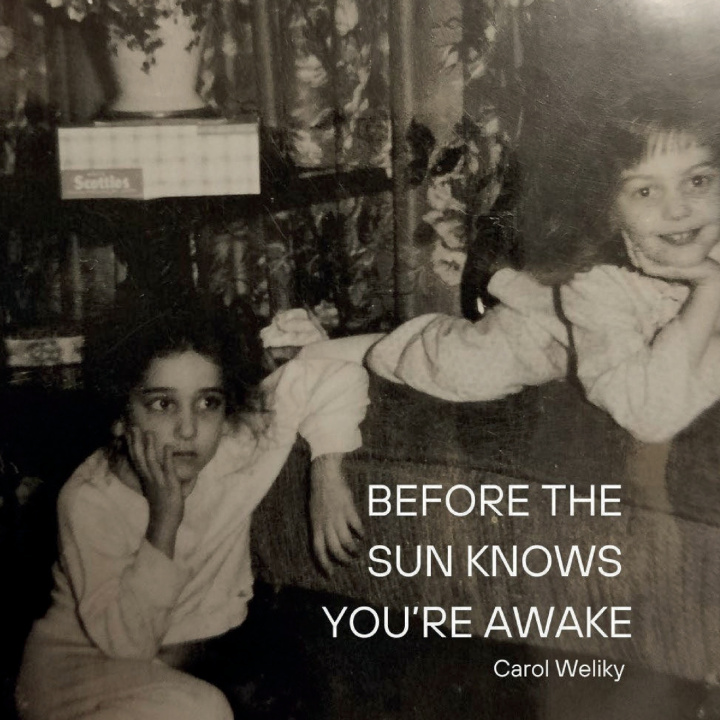 Buch Before the Sun Knows You're Awake Carol Weliky