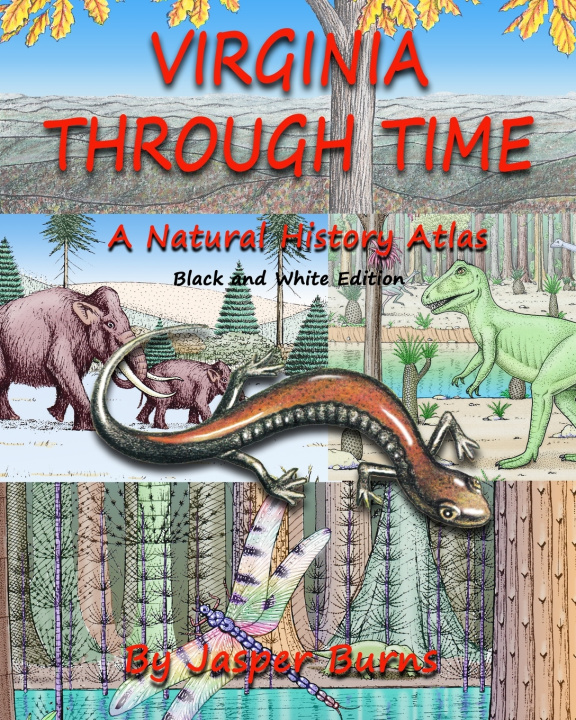 Carte Virginia Through Time Jasper Burns