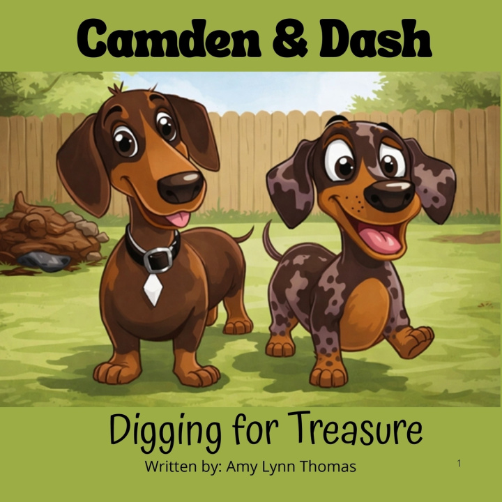 Книга Camden & Dash Amy L Thomas