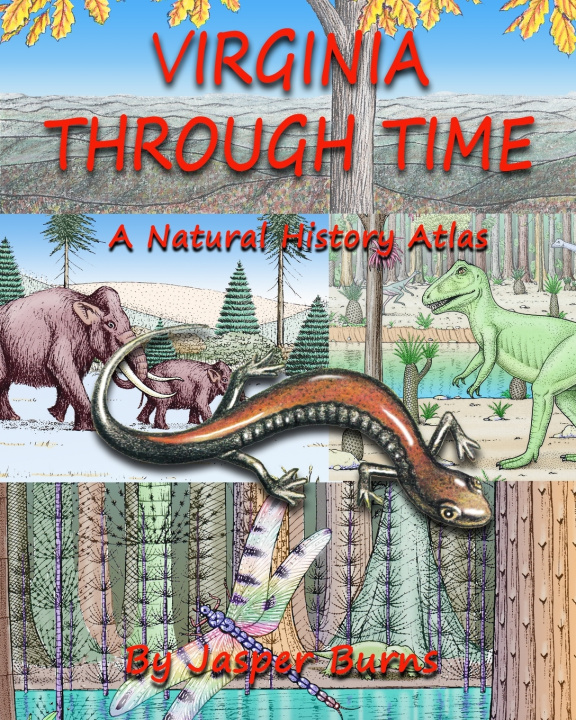 Книга Virginia Through Time Jasper Burns
