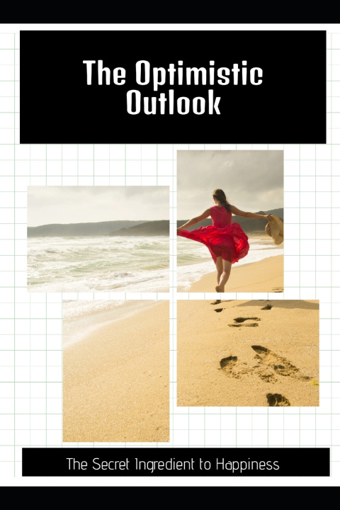 Kniha The Optimistic Outlook Mason U. Delaney